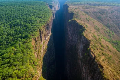 Illustration divide - Image 1