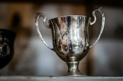 Illustration blemishes - Image 1