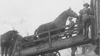 Illustration race - Image 2