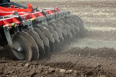 Illustration disks - Image 1