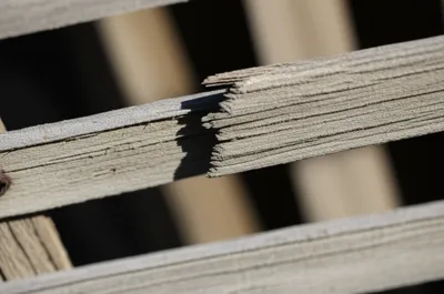 Illustration slat - Image 1