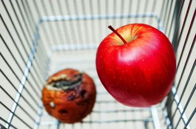 Illustration substituted - Image 1