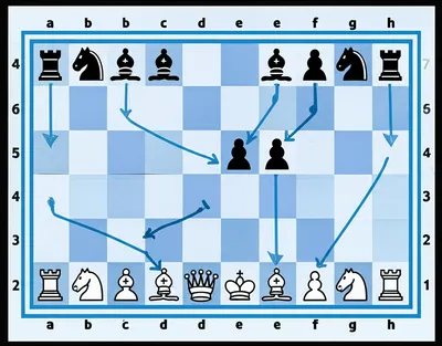 Illustration preplanned - Image 2