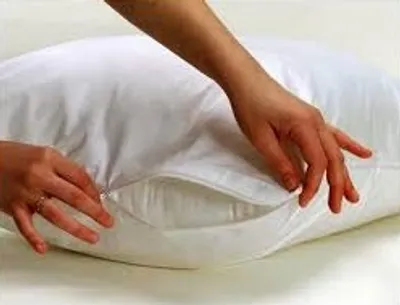 Illustration encase - Image 2