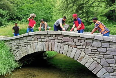 Illustration serves - Image 1