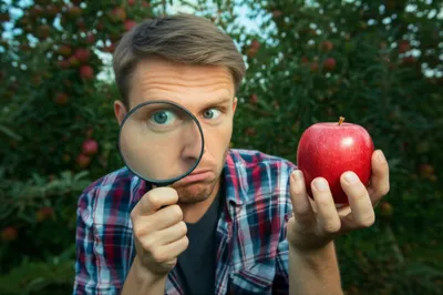 Illustration piddling - Image 1