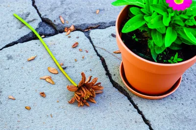 Illustration went - Image 1