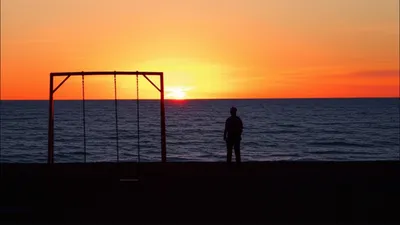 Illustration leaves - Image 1