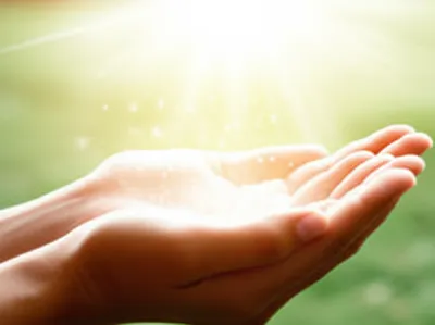 Hình ảnh minh họa gat - Ảnh 1