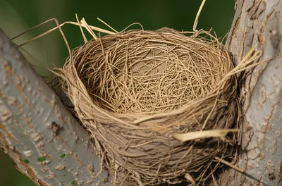 Illustration locks - Image 1