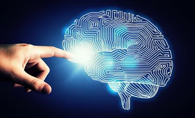 Illustration reach - Image 1