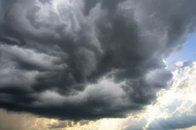 Illustration mammae - Image 1