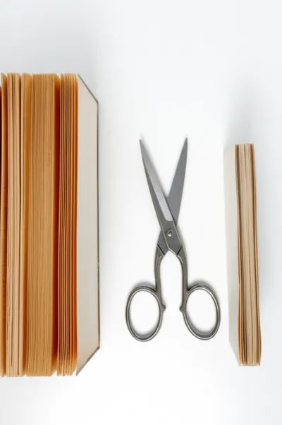 Illustration abridged - Image 1