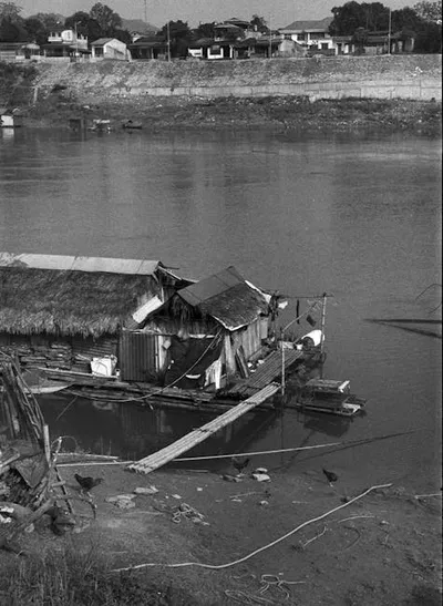 Hình ảnh minh họa thatching - Ảnh 2