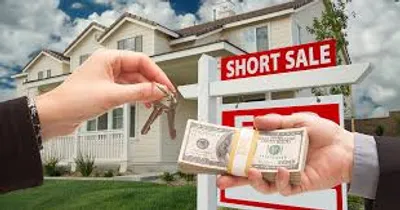 Illustration purchase - Image 2