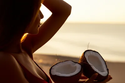 Illustration coconut - Image 1