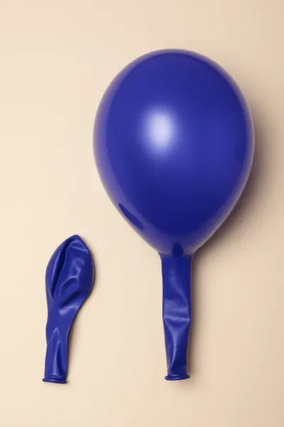 Illustration erectile - Image 1