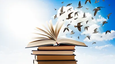 Illustration book - Image 1