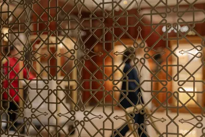 Illustration latticework - Image 2