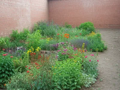 Illustration walls - Image 1