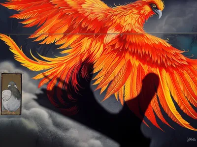 Illustration stains - Image 1