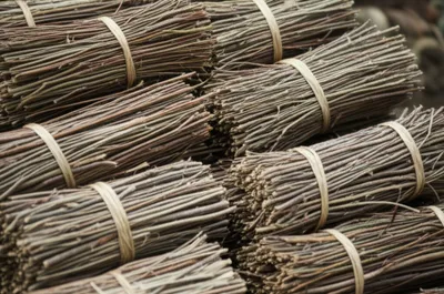 Illustration fagots - Image 1