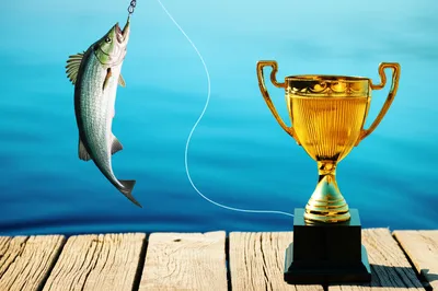 Illustration reward - Image 1