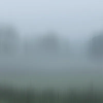Illustration vaguer - Image 1