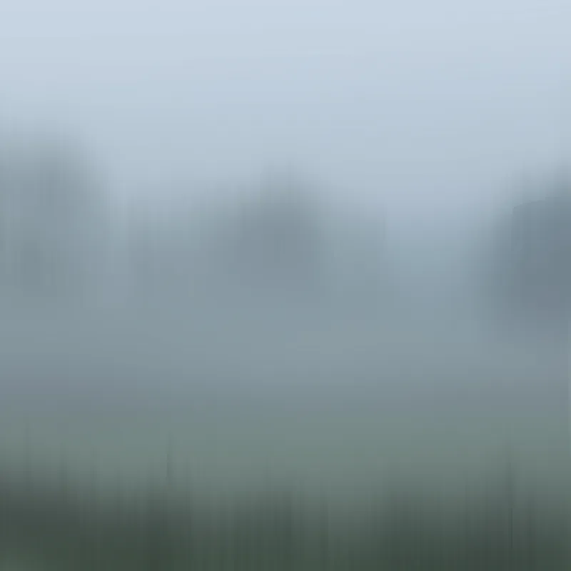 Hình ảnh minh họa cho vaguer: Mơ hồ, không rõ ràng, nhạt nhòa.
 - Hình ảnh 1