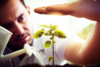 Illustration reck - Image 1