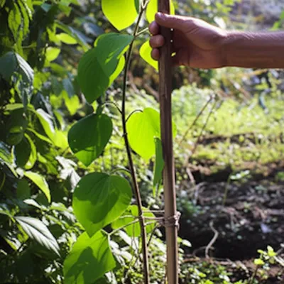 Illustration reclaimed - Image 1