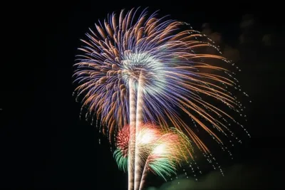 Illustration serpents - Image 1