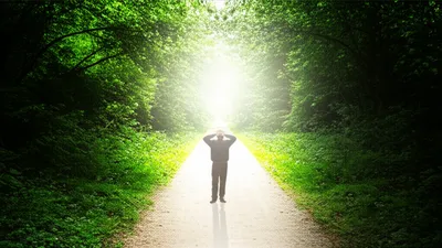 Illustration speculates - Image 1