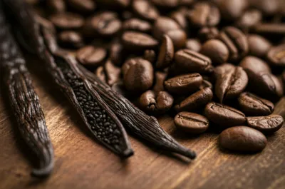 Illustration bean - Image 1