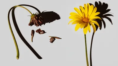 Illustration unfavourable - Image 1