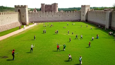 Illustration bailey - Image 1