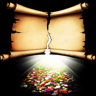 Illustration repealing