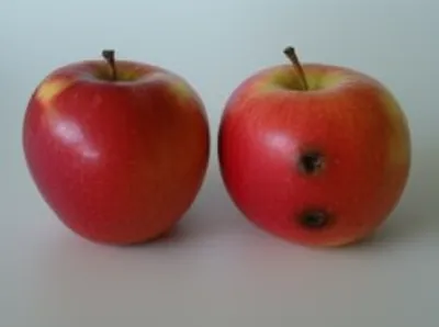 Illustration compares - Image 1