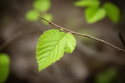 Illustration bases - Image 1