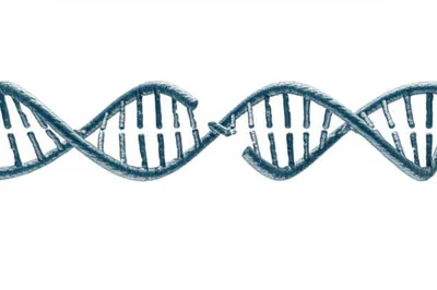 Illustration splice - Image 1