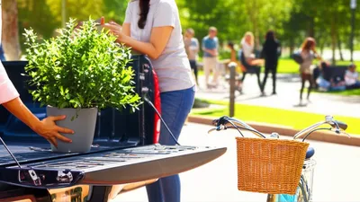 Illustration changes - Image 1