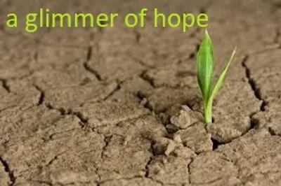 Illustration glimmer - Image 3