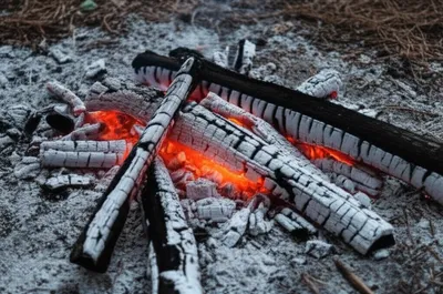 Illustration ashes - Image 1