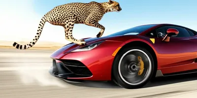 Illustration outstripped - Image 1