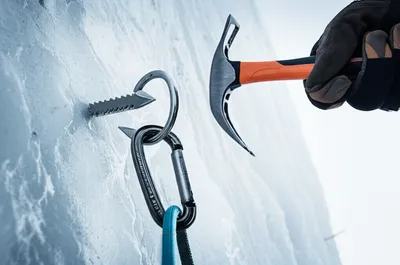 Illustration piton - Image 1