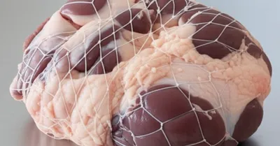 Illustration leaves - Image 1