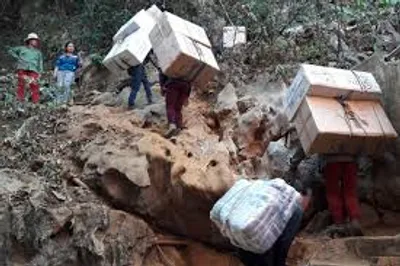 Illustration contraband - Image 2