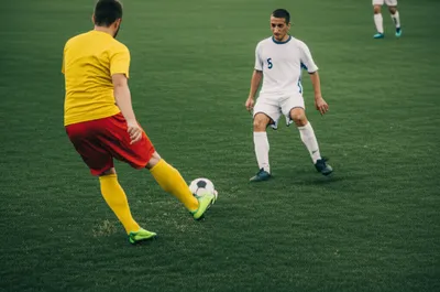 Illustration centres - Image 1