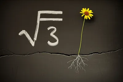 Illustration surd - Image 1