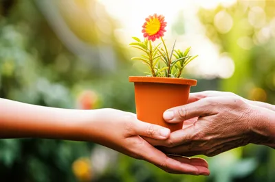 Illustration kindly - Image 1